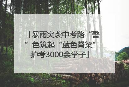 暴雨突袭中考路“警”色筑起“蓝色脊梁”护考3000余学子